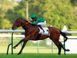 Daryz dominates in the Prix Aga Khan IV