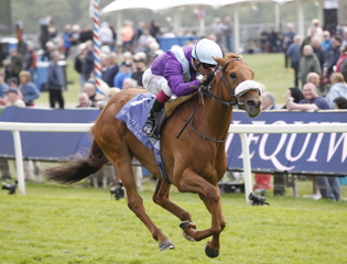 See The Fire scorches to success on the Knavesmire
