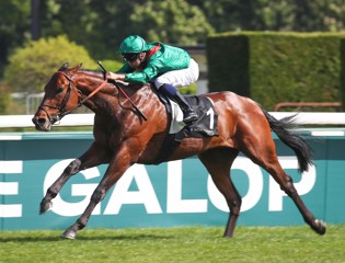 Daryz éblouit pour sa rentrée