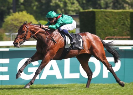 Daryz dazzles on seasonal return