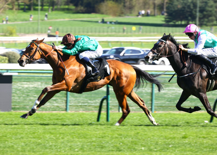 Classic prospects to the fore