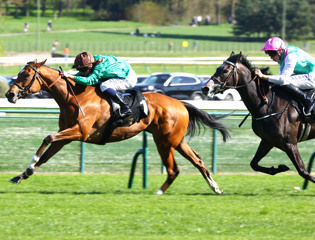 Classic prospects to the fore