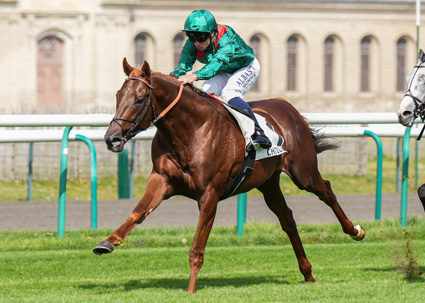 Midak to be supplemented for the Derby