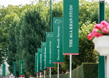 A successful Aga Khan Studs day at Deauville