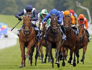 Zavateri takes Vintage Stakes like “a knife through butter”