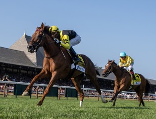 Un week-end exceptionnel pour Zarak