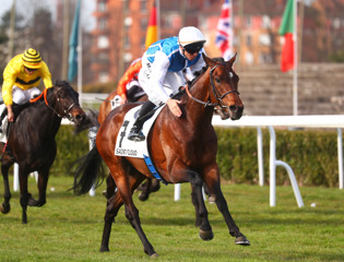 Easy first Stakes success for Internaute