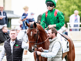 Mickaël Barzalona to become first jockey for the Aga Khan Studs