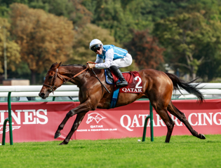 Sea The Stars Shines with a super weekend