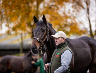 Group horses head the Aga Khan HIT drafts this autumn