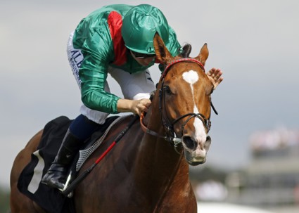 A fifth King George for the Aga Khan Studs