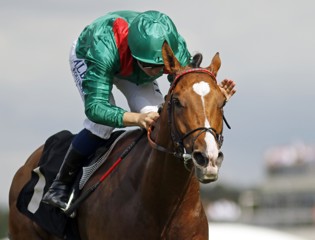 A fifth King George for the Aga Khan Studs