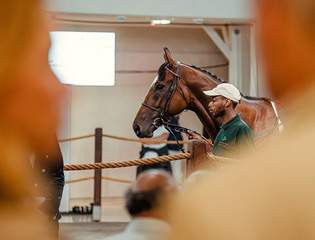 Aga Khan-bred Eliyass maintains unbeaten record in Australia