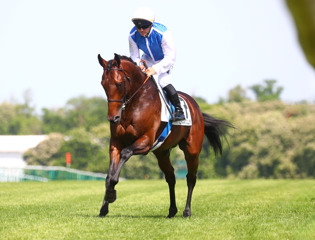 International successes for Siyouni