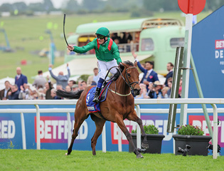 Find Classic families at the breeding stock sales