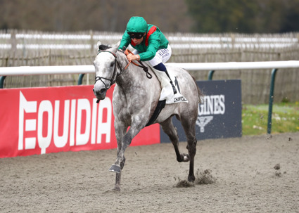 Purple patch of winners for the Aga Khan silks