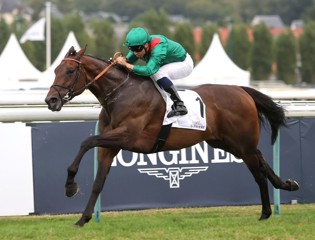 Stakes-winning quartet form Aga Khan Arc Sale offering